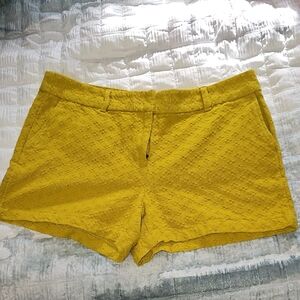 LOFT Mustard Textured High Waist Shorts